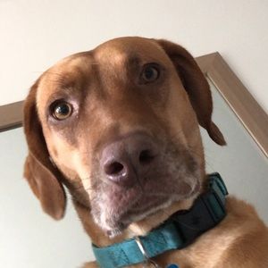 Meet your Posher, Diego